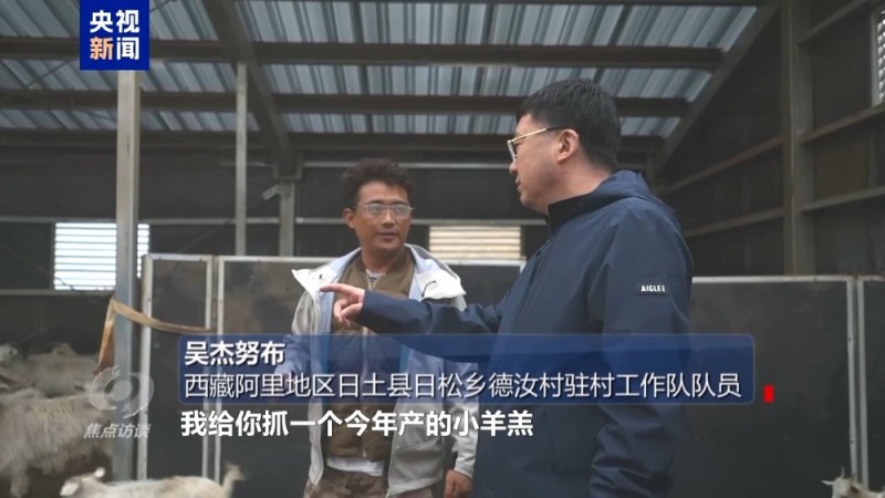 焦点访谈丨白羊绒走出去 新游客走进来 援藏硕果满高原