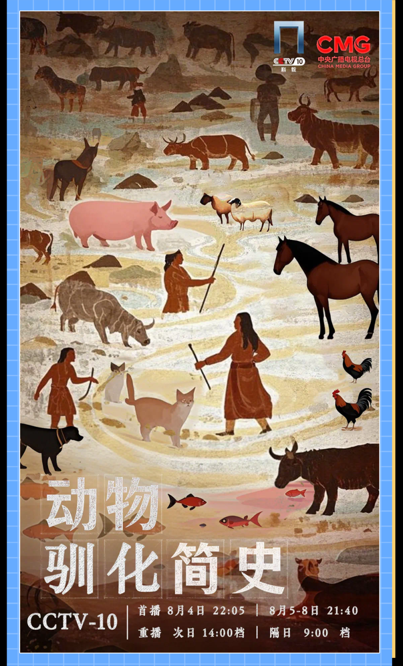 总台周看点丨能量满满，动起来！