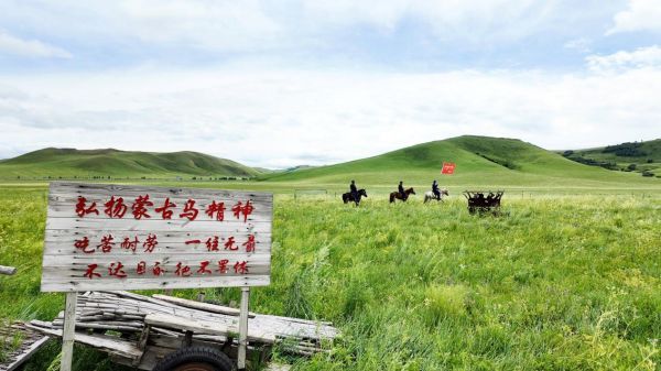 石榴花开北疆红・籽籽同心家国情 | 草原上的生命赞歌