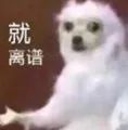 一景区指示牌将“China”写成“Ching”？网友：太离谱了……