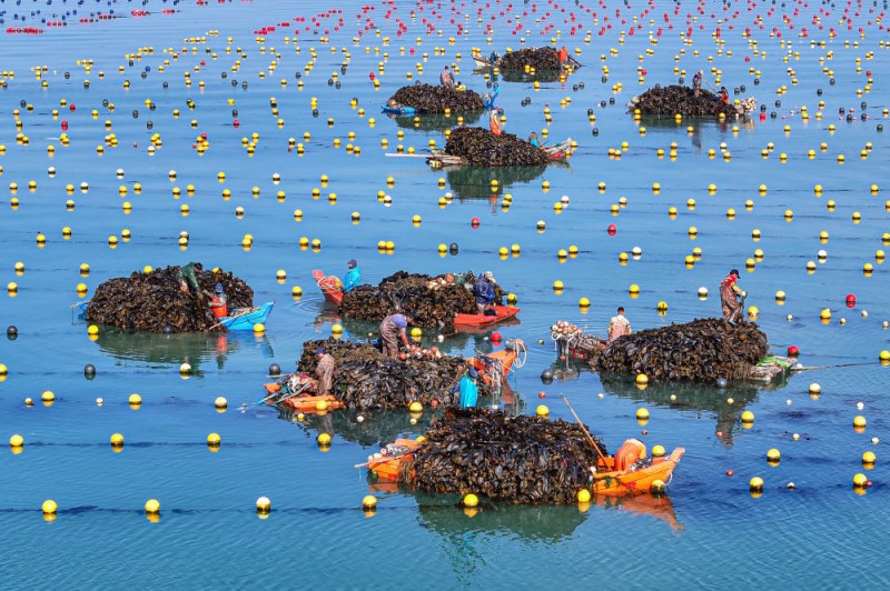 精耕深蓝，加快建设海洋强国――“中国经济圆桌会”聚焦海洋经济高质量发展