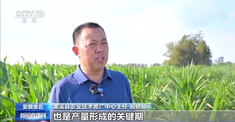 安徽持续高温天气 与时间赛跑抗旱保秋粮