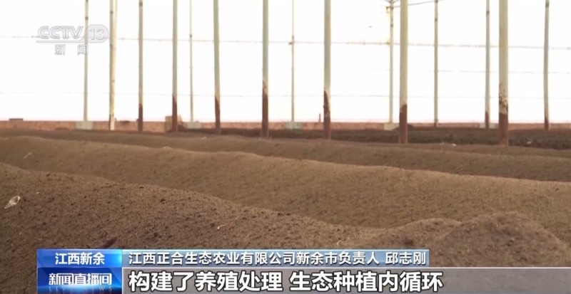 1000个废旧塑料餐盒变身3D打印椅 “变废为宝”又有新招