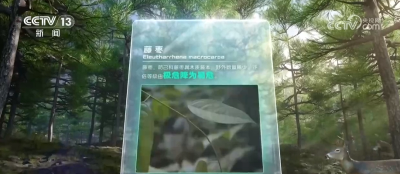 一“升”一“降”彰显绿色发展内核 绿潮奔涌绘就万物各得其所、生生不息生动画卷