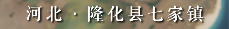 从太空看“十四五”丨乡村振兴万象新