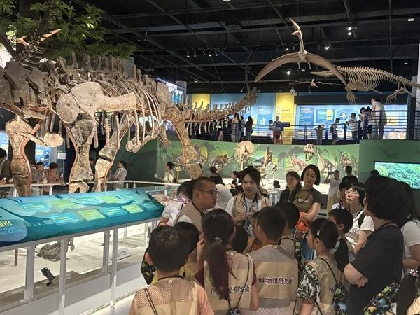 可互动、可触摸、可共情 夜宿博物馆一票难求