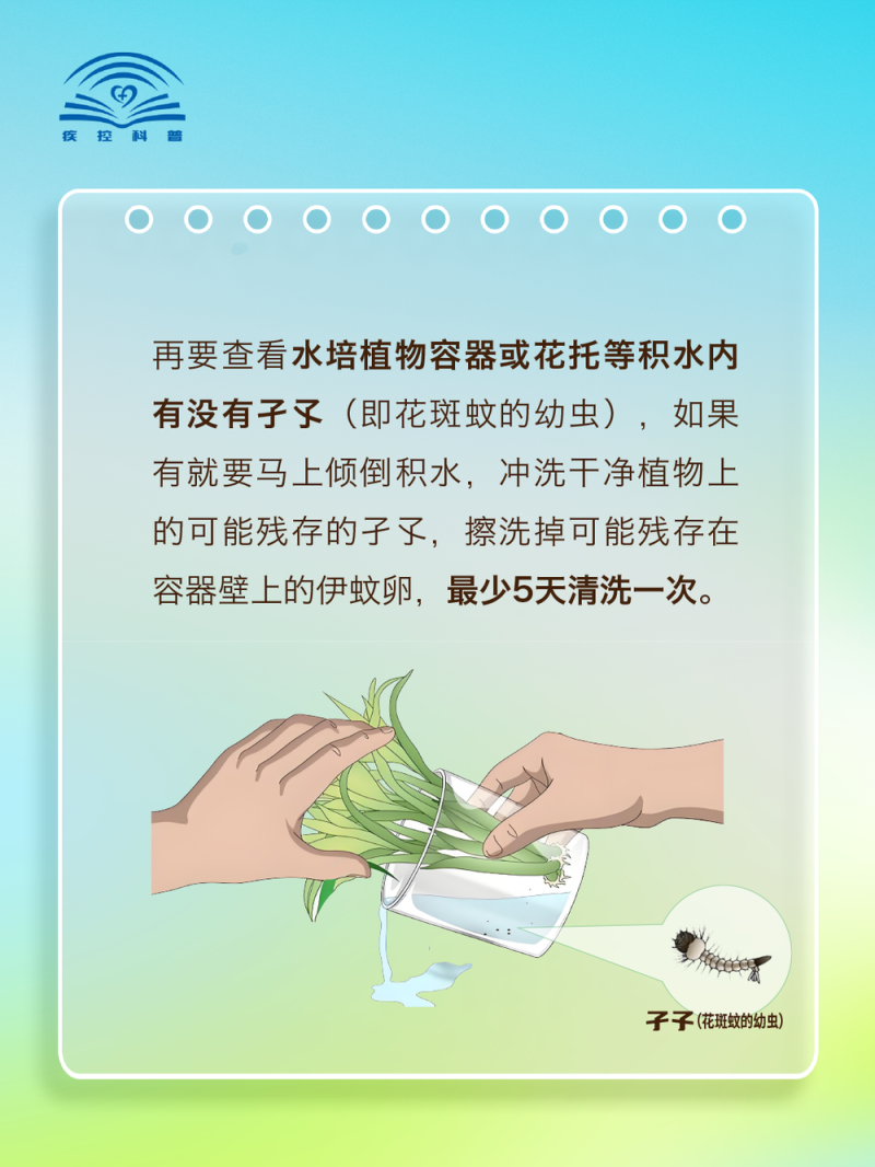 基孔肯雅热不用怕！一图教你如何科学灭蚊防蚊