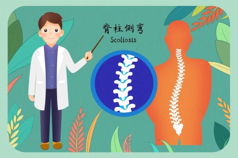 别让脊柱侧弯“偷走”孩子挺拔的身姿｜科普时间