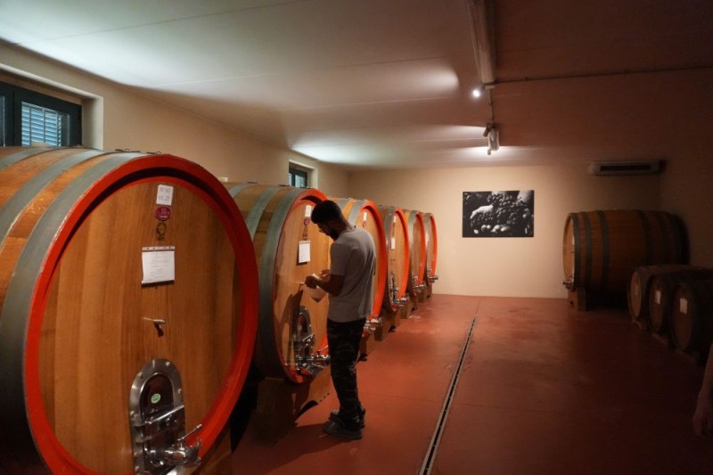 记者手记|葡萄满枝头 焦虑压心头――探访美关税冲击下的意大利酒庄