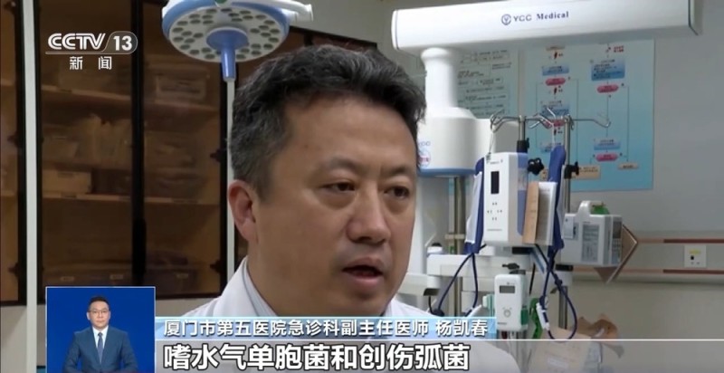 当心“海洋刺客”！男童沙滩踩到死鱼感染这种病菌险些截肢