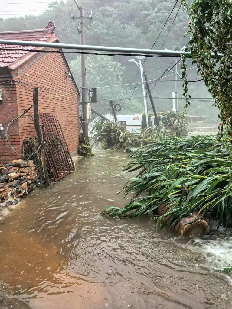 党旗在基层一线高高飘扬丨闻“汛”而动显担当――记河北省滦平县马营子满族乡南台子西沟村党支部