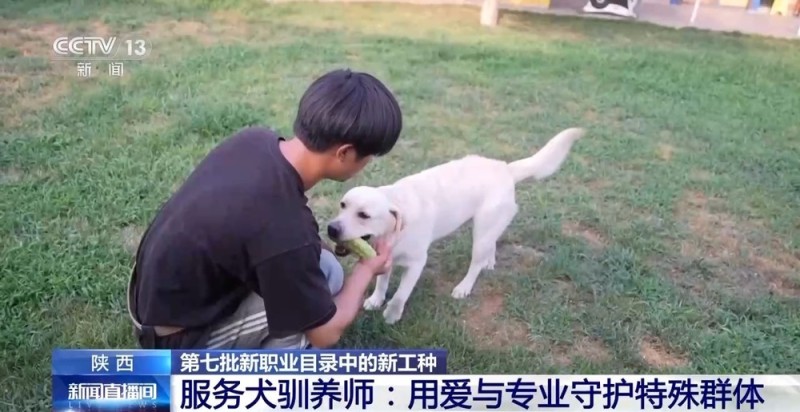 兰州牛肉拉面出考核教材了！来看拉面界的人才培养方式→
