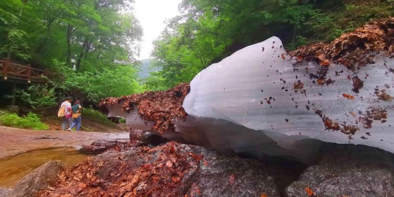 不止有冷空气，更有烟火气――东北避暑游“清凉”出圈