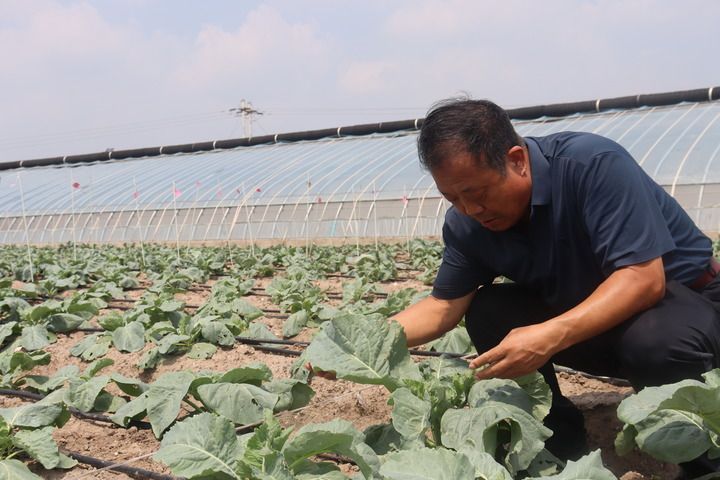 细节里的“和合与共”