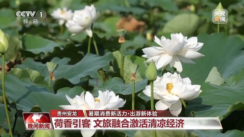 够清凉够丰富！更好玩、更好逛的“暑期游”来了