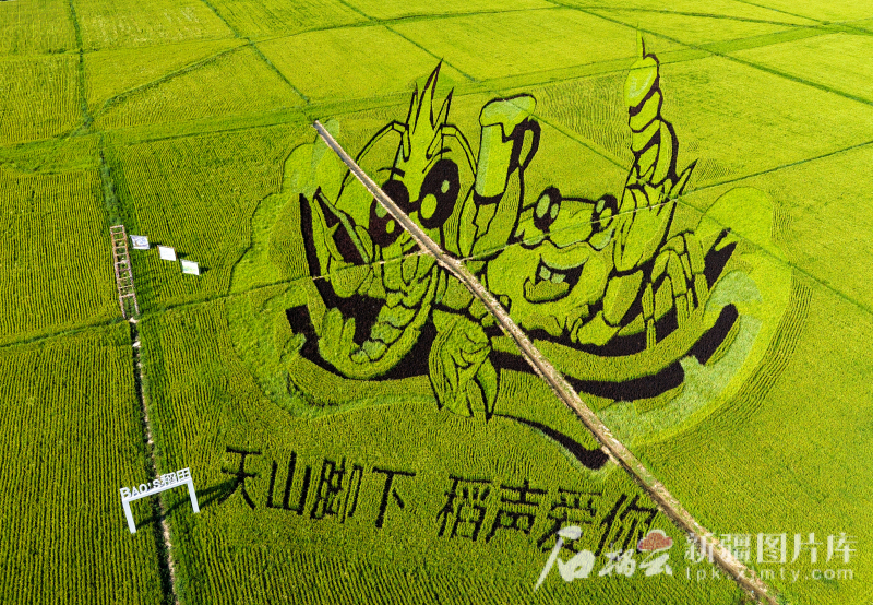 完整准确全面贯彻新时代党的治疆方略丨蓝天碧水