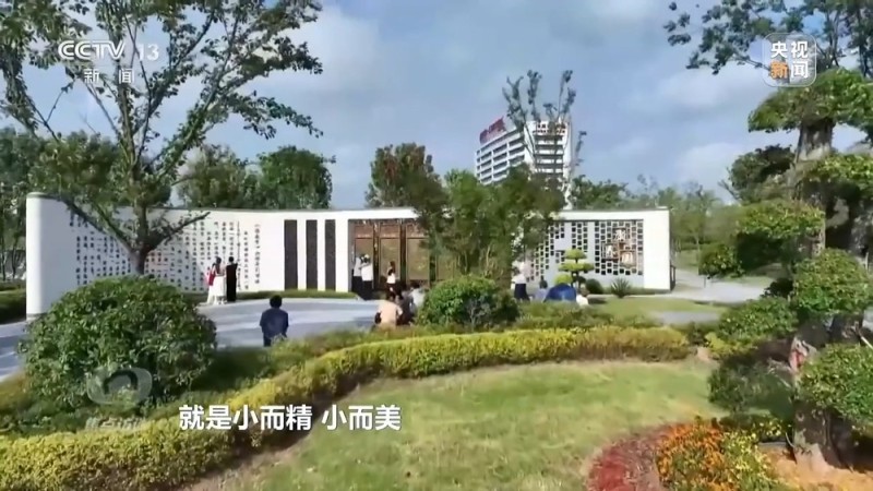 焦点访谈丨城市“绿心”生长记：三城共绘生态宜居图