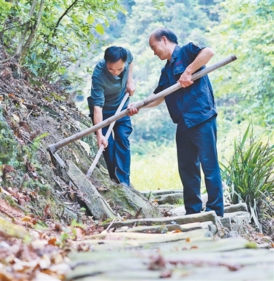 重庆市璧山区健龙镇白果村陈氏兄弟坚守8年修复古道 为苍苍古道重新聚起人气