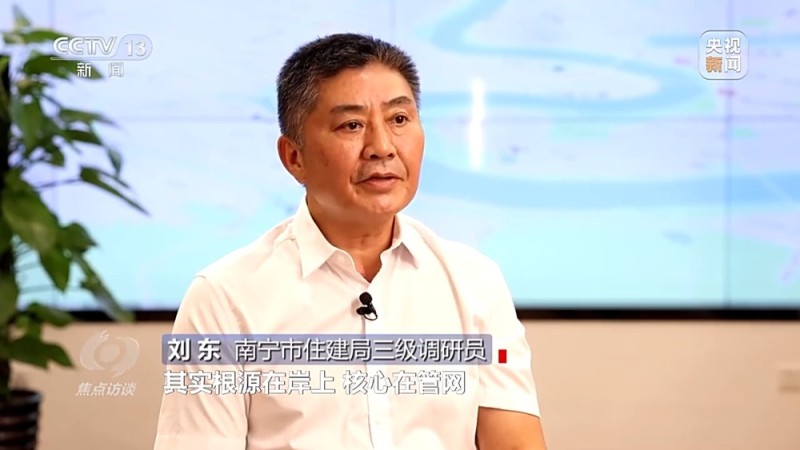 焦点访谈丨城市“绿心”生长记：三城共绘生态宜居图