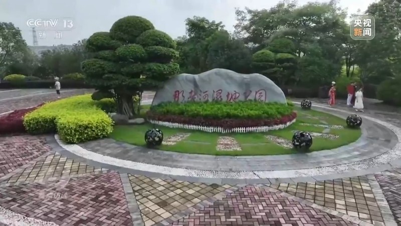 焦点访谈丨城市“绿心”生长记：三城共绘生态宜居图