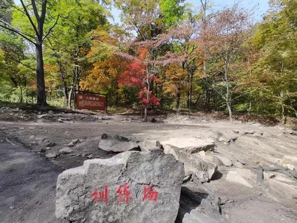 杨靖宇不死：青春再燃白山黑水
