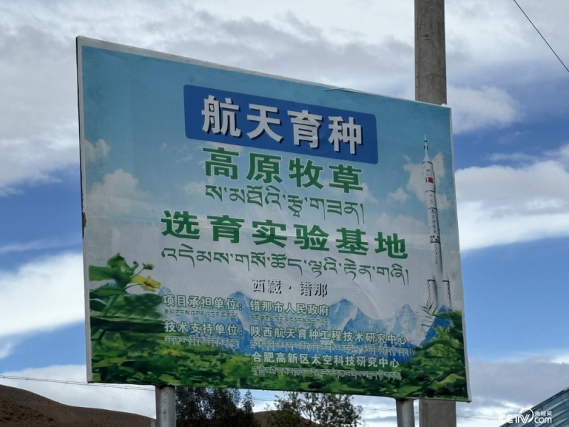 辉煌60年 我们的家园│行走在高原之上：触摸新时代幸福西藏的脉搏
