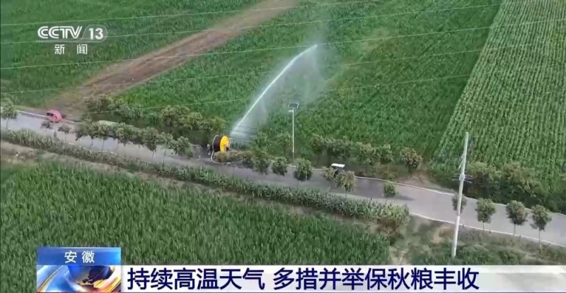 安徽持续高温天气 与时间赛跑抗旱保秋粮