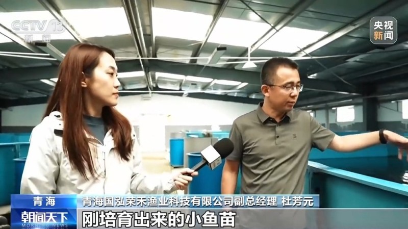 活力中国调研行丨“一季火”到“四季新” 高原小城打造文旅新名片