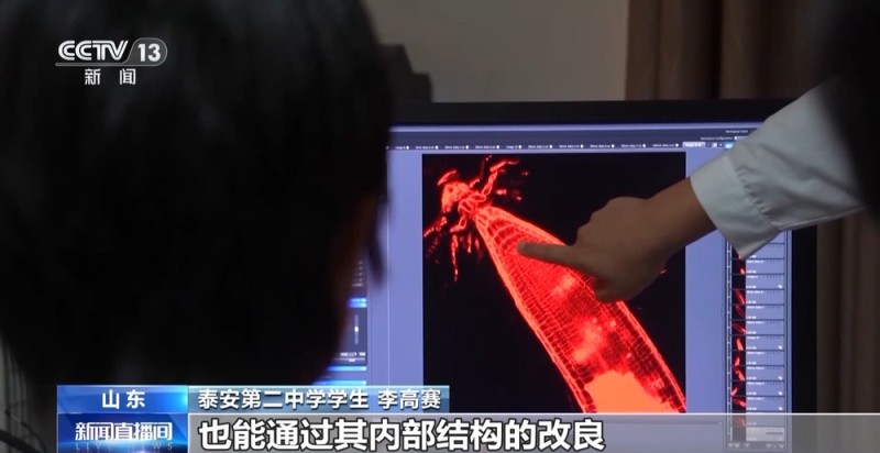 多地中小学推出探究式暑假作业  主打个性化选择