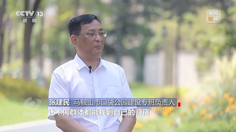 焦点访谈丨城市“绿心”生长记：三城共绘生态宜居图