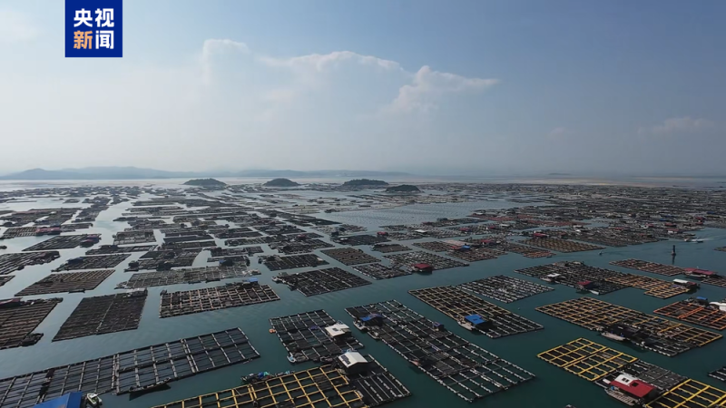 福建：应对台风“杨柳” 渔船回港 人员撤离
