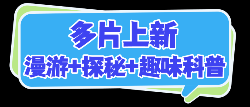 总台周看点丨能量满满，动起来！