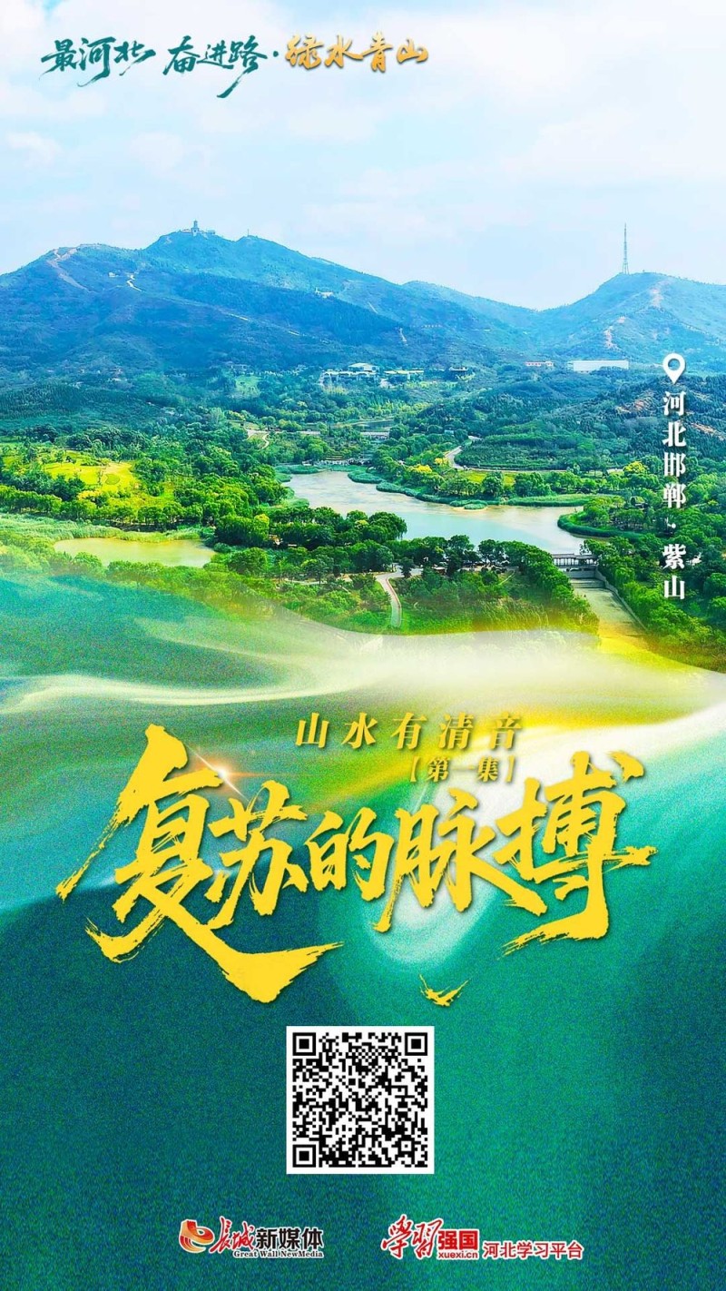 山水有清音丨复苏的脉搏