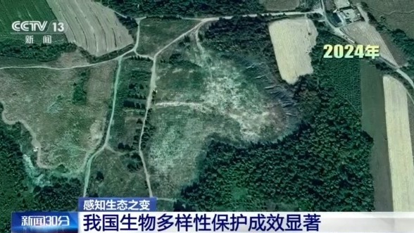 感知生态之变丨从6.7万到14.8万种 见证生物多样性保护中国答卷