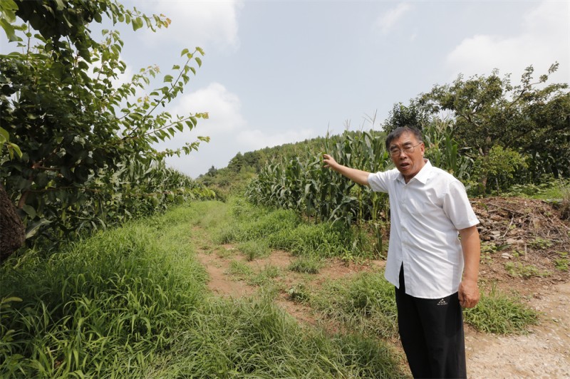 我家住过八路军④丨一枚印章 一盏马灯
