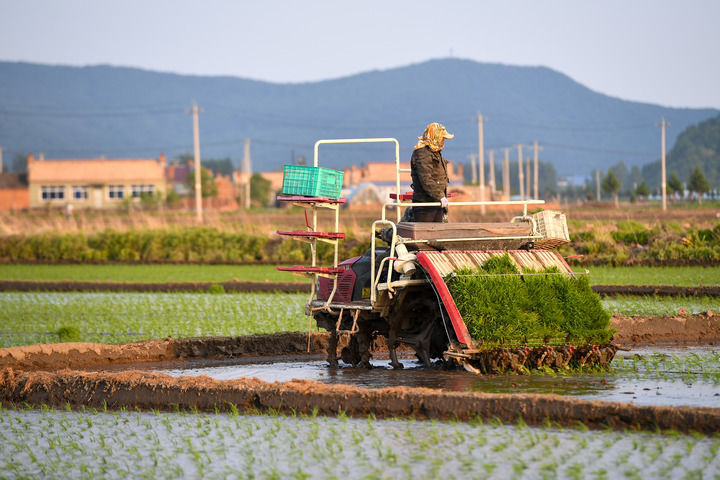 有绿、有技、有特色――在“活力中国调研行”中感受乡村振兴新活力