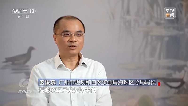 焦点访谈丨城市“绿心”生长记：三城共绘生态宜居图