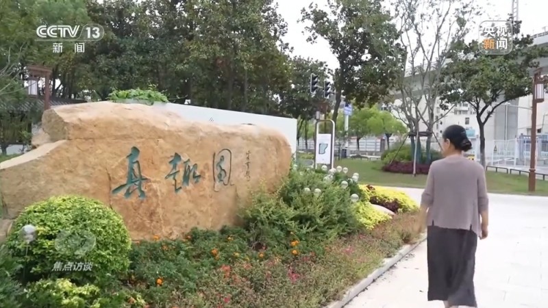 焦点访谈丨城市“绿心”生长记：三城共绘生态宜居图