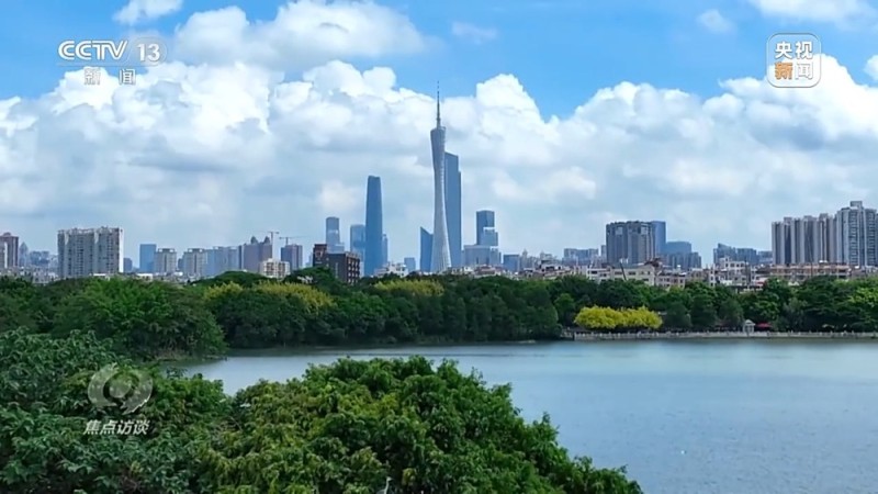 焦点访谈丨城市“绿心”生长记：三城共绘生态宜居图