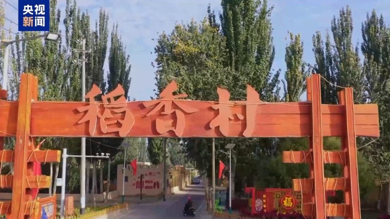 沙漠里也能养海鲜、种水稻？看新疆如何“点沙成金”