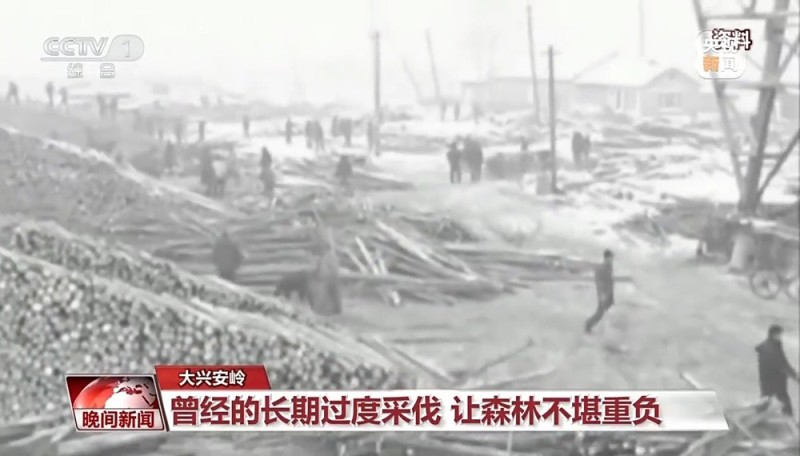 看见美丽中国丨停伐十年 看“绿色宝库”大兴安岭的转型路→