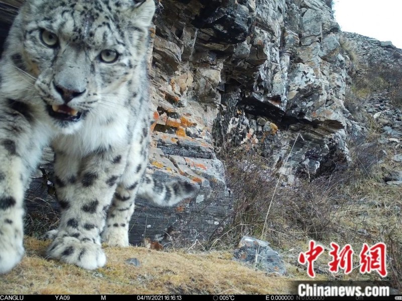 人这一辈子,一定要去一趟西藏!