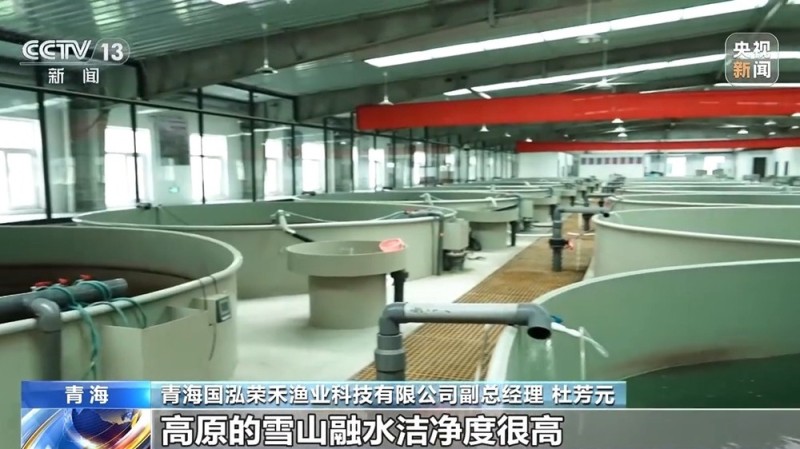活力中国调研行丨“一季火”到“四季新” 高原小城打造文旅新名片