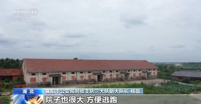 法治在线丨看小说学盗墓挖走20余件国宝 特大盗墓案细节曝光