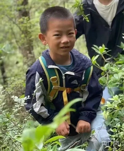7点出发丨8岁失联男童带有定位器！近500人冒雨搜救中！