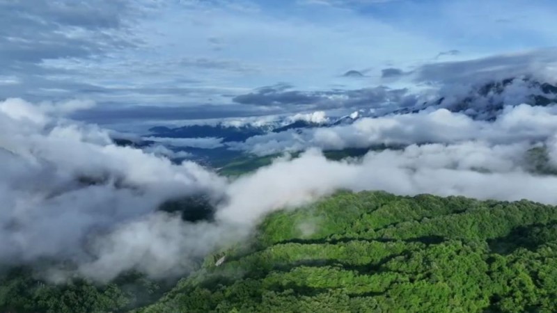 新华视点|暑期经济多元业态观察:文旅融合激活消费新引擎