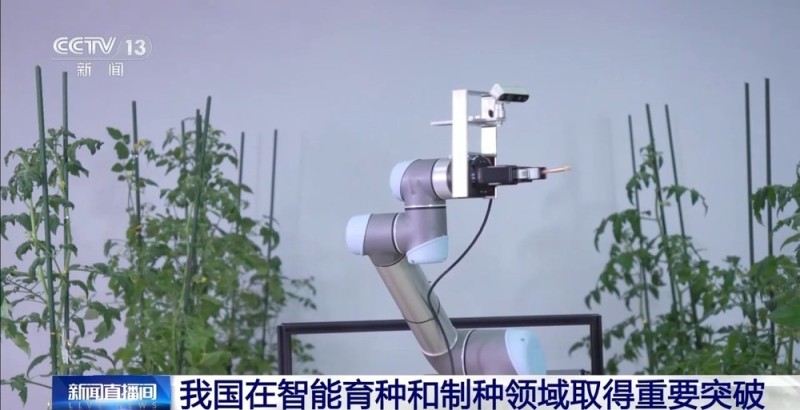 我国研制出世界首台智能育种机器人“吉儿” 取得重要突破