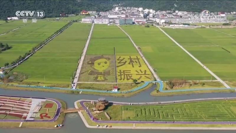 焦点访谈 | 如何将绿水青山转化为金山银山？各地交出满意答卷