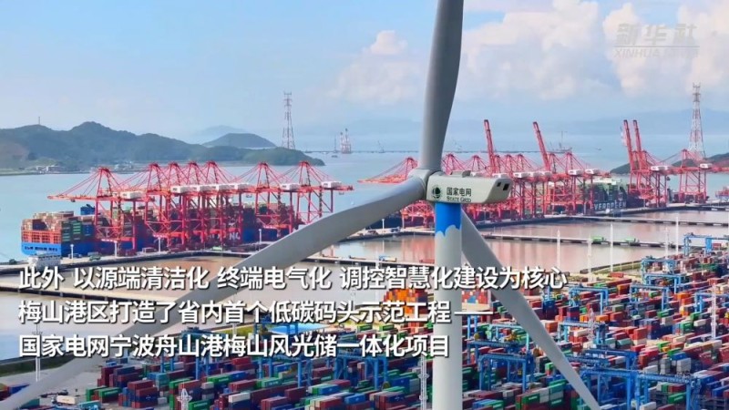 活力中国调研行｜浙江宁波：“绿色港口”的智能化转型
