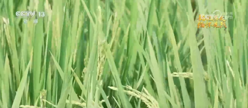 抗日根据地・今昔巨变 | 焕新颜 展笑颜 革命堡垒变身开放新引擎